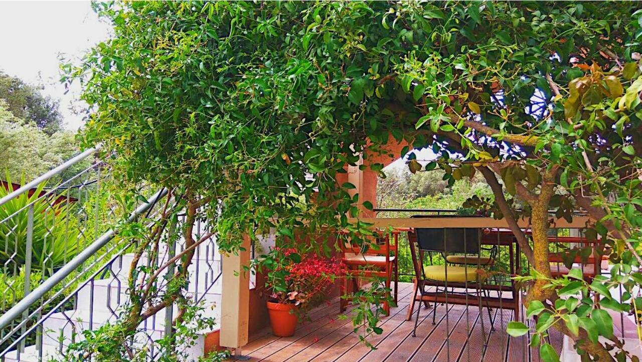 Kefalonia Apartments - Marias Studios - 2 Bedroom Apartment In Orchard, Spartia Dış mekan fotoğraf
